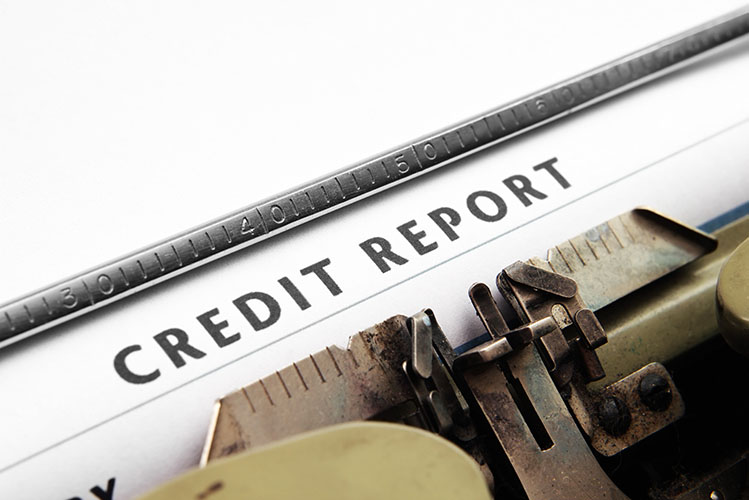 credit report header