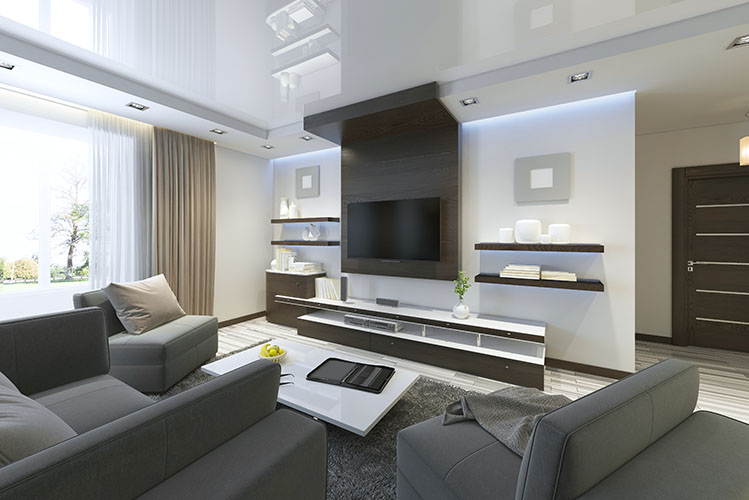 living room home theater